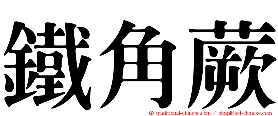 鐵角蕨