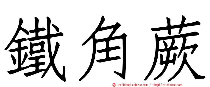 鐵角蕨