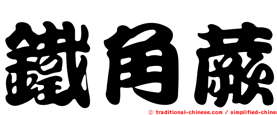 鐵角蕨