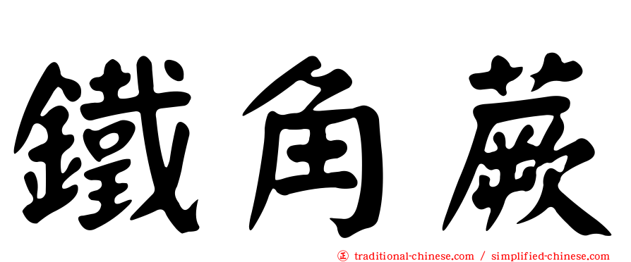 鐵角蕨
