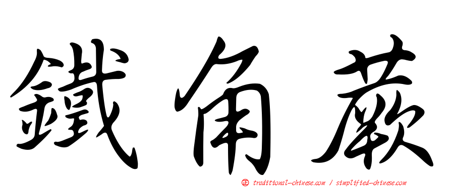 鐵角蕨
