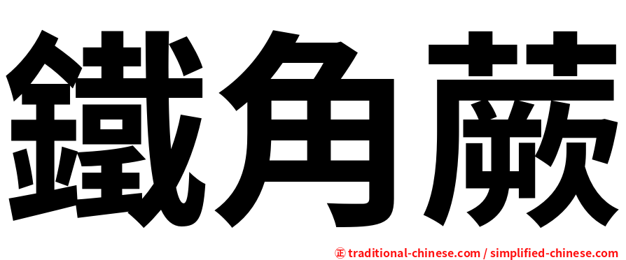 鐵角蕨