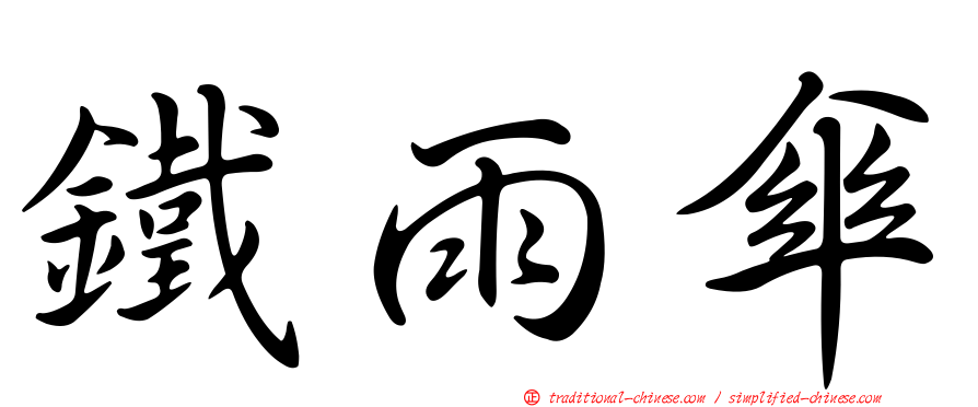 鐵雨傘