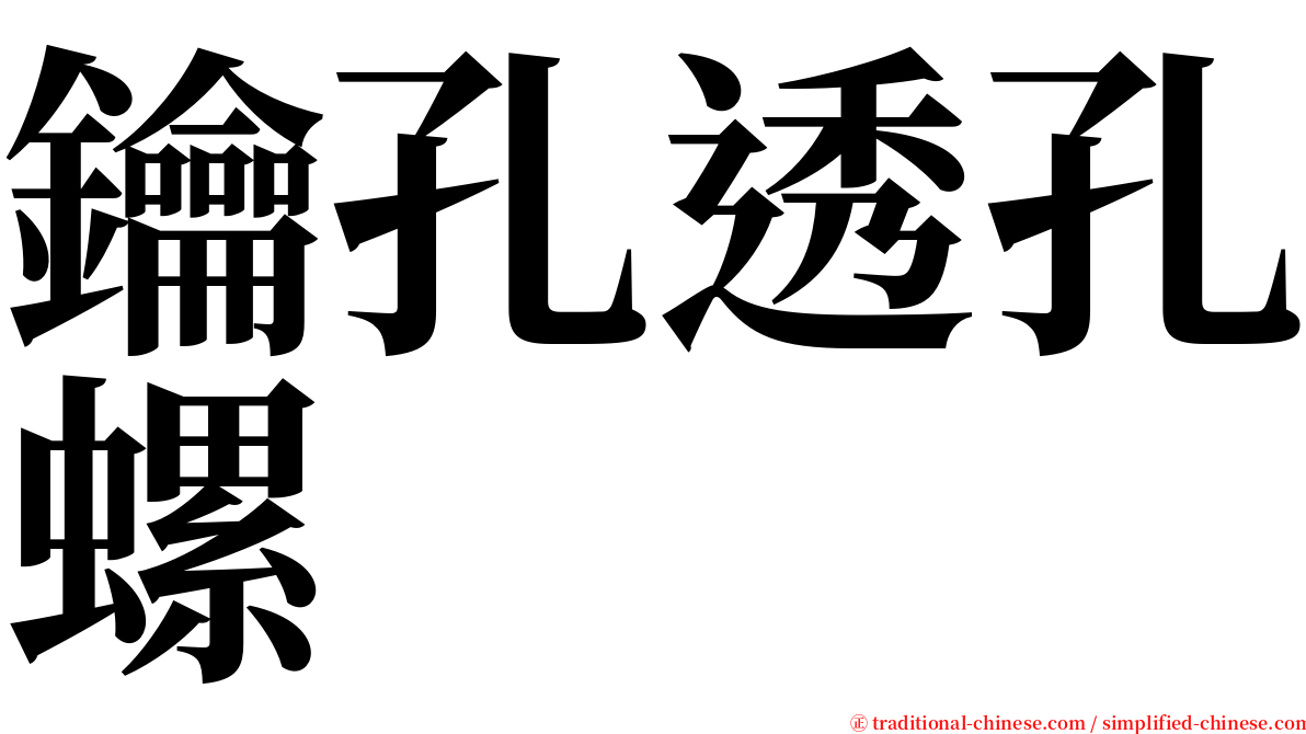 鑰孔透孔螺 serif font