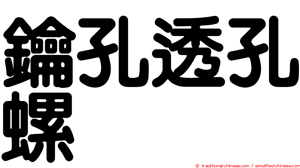 鑰孔透孔螺