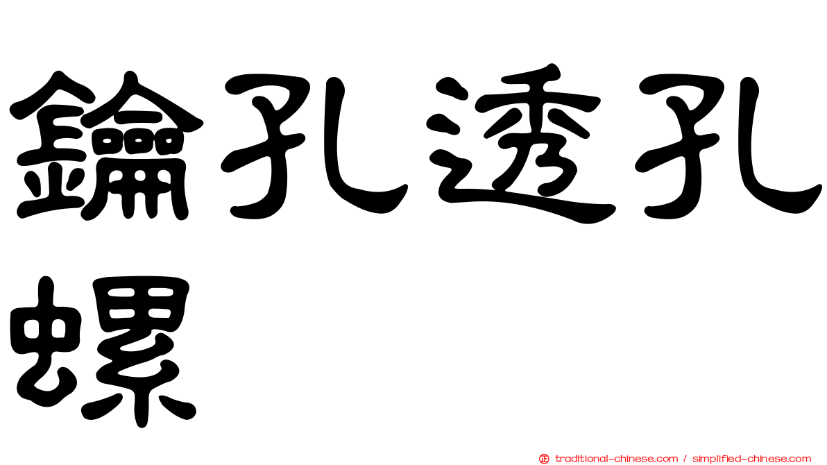 鑰孔透孔螺