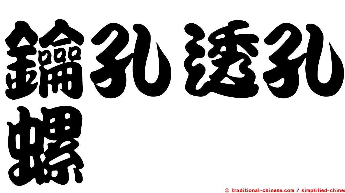 鑰孔透孔螺