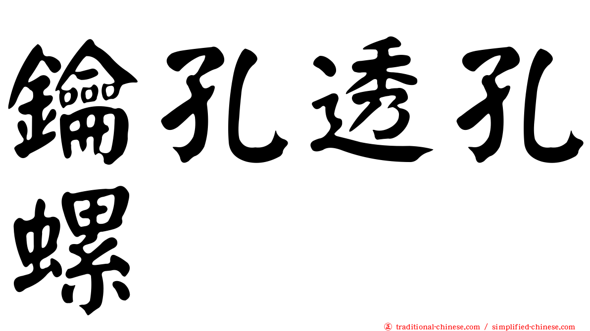 鑰孔透孔螺