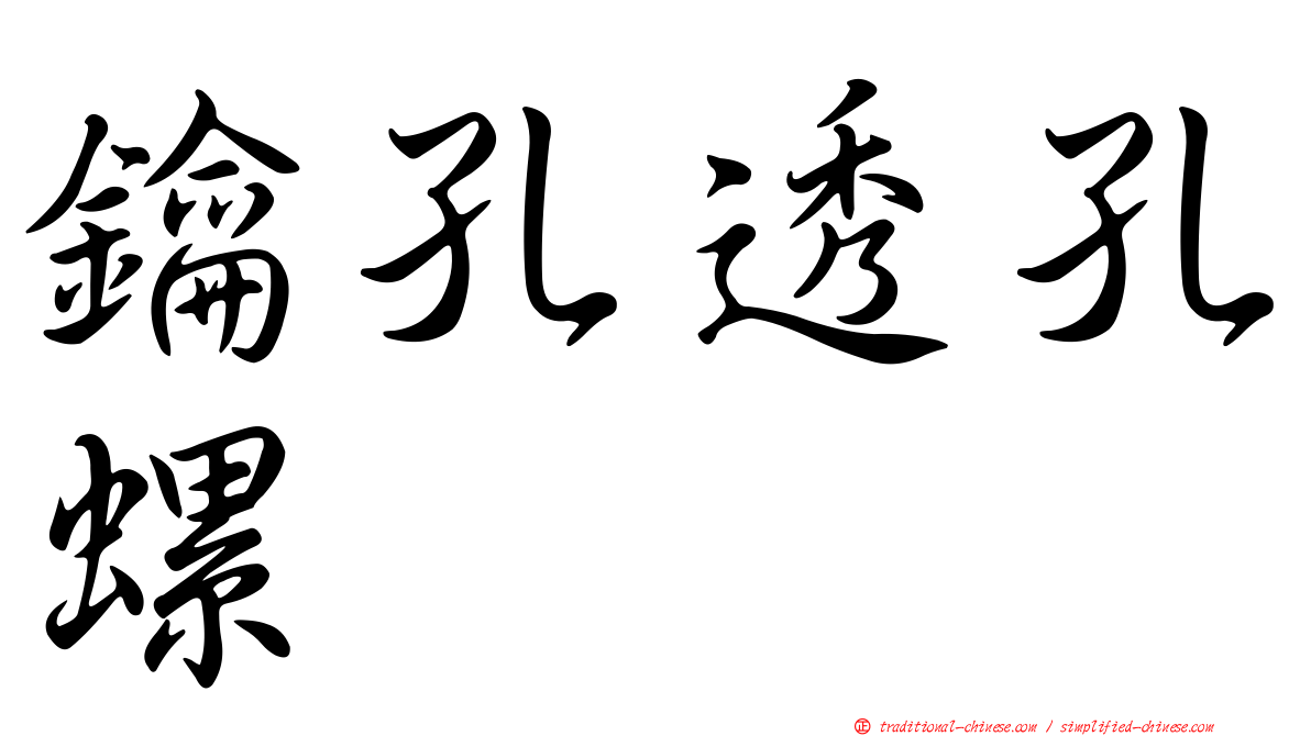 鑰孔透孔螺
