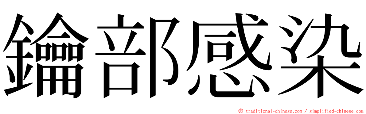 鑰部感染 ming font