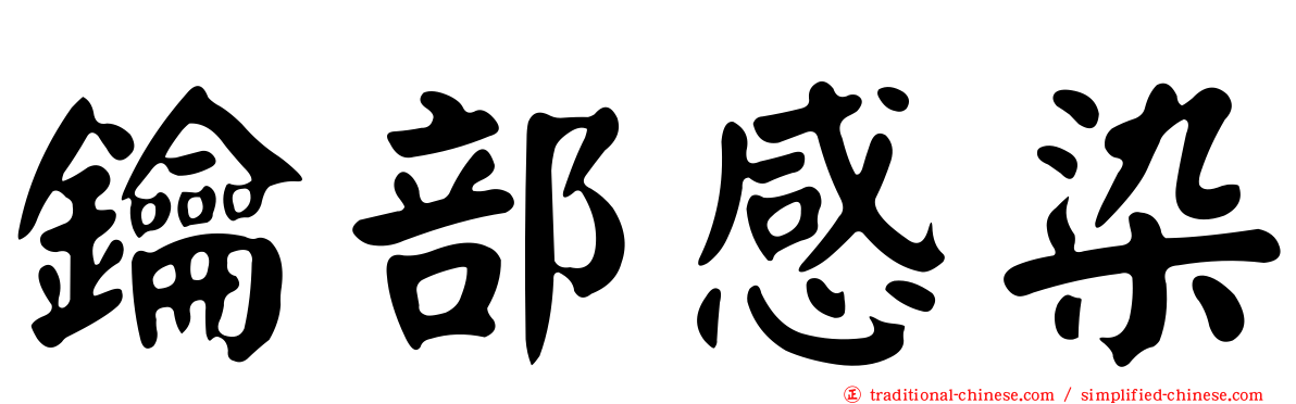 鑰部感染