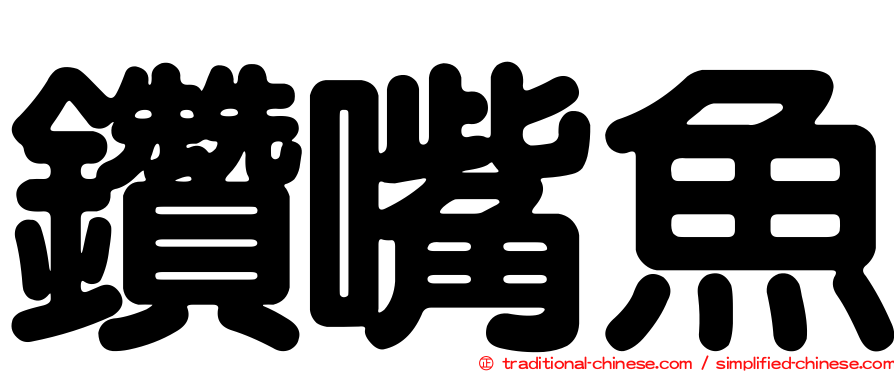 鑽嘴魚