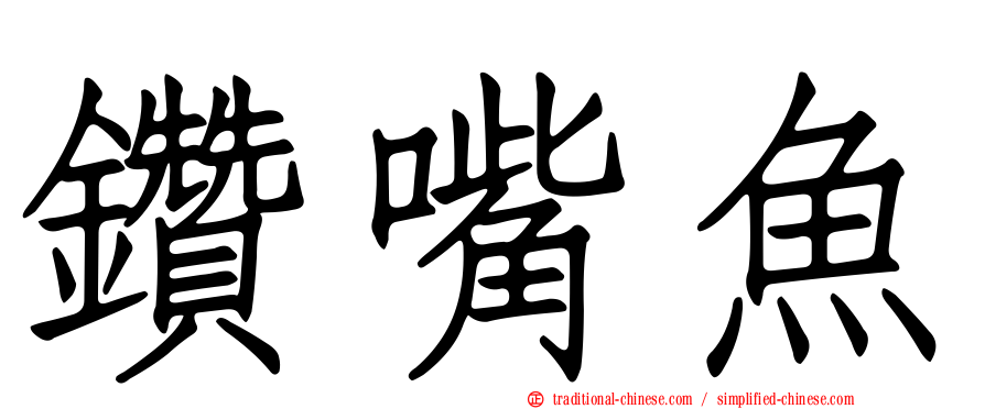 鑽嘴魚