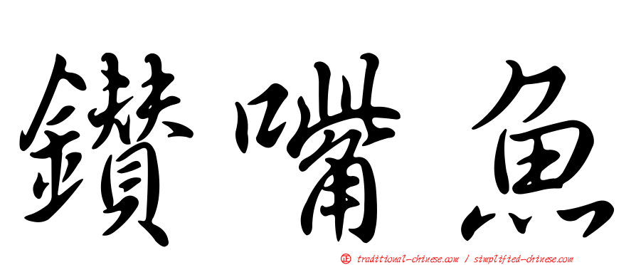 鑽嘴魚