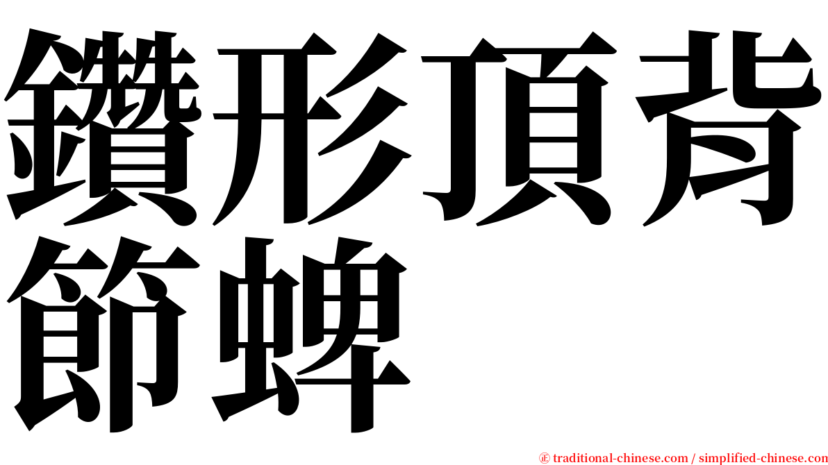 鑽形頂背節蜱 serif font