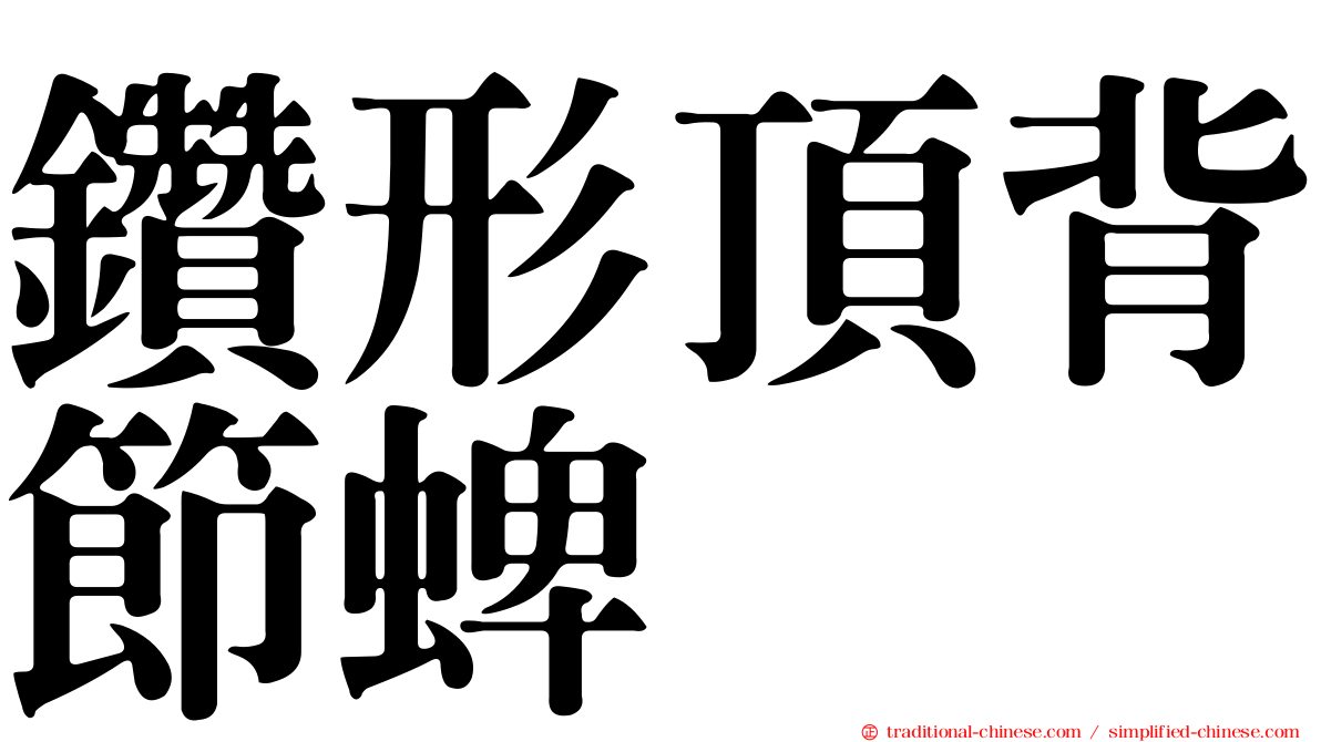 鑽形頂背節蜱