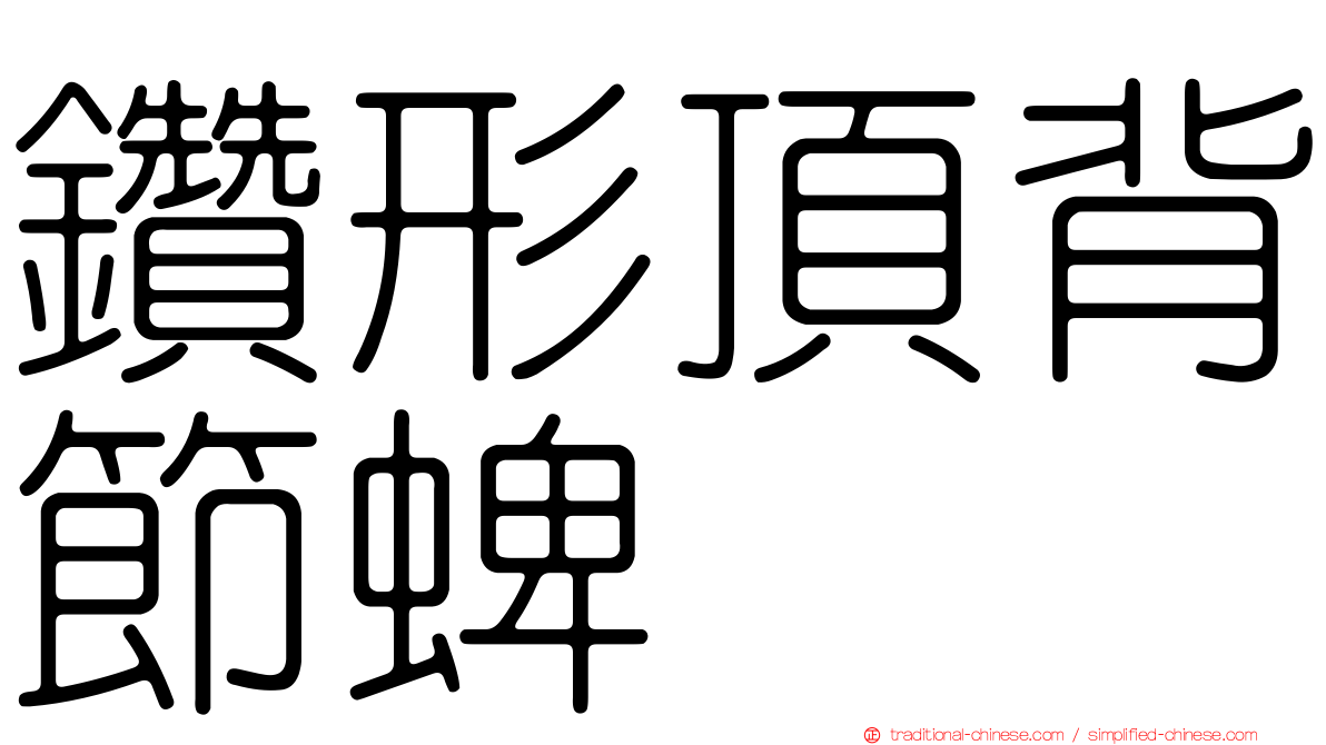 鑽形頂背節蜱