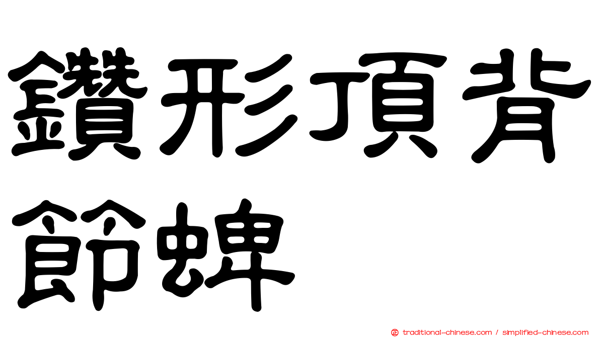 鑽形頂背節蜱