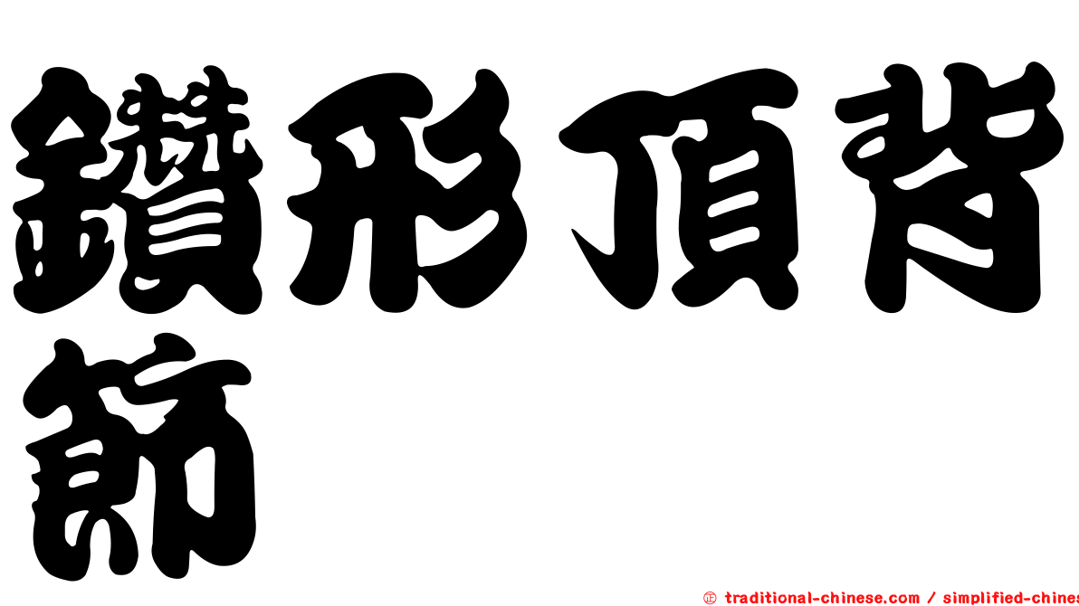 鑽形頂背節蜱