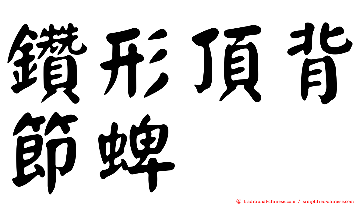 鑽形頂背節蜱