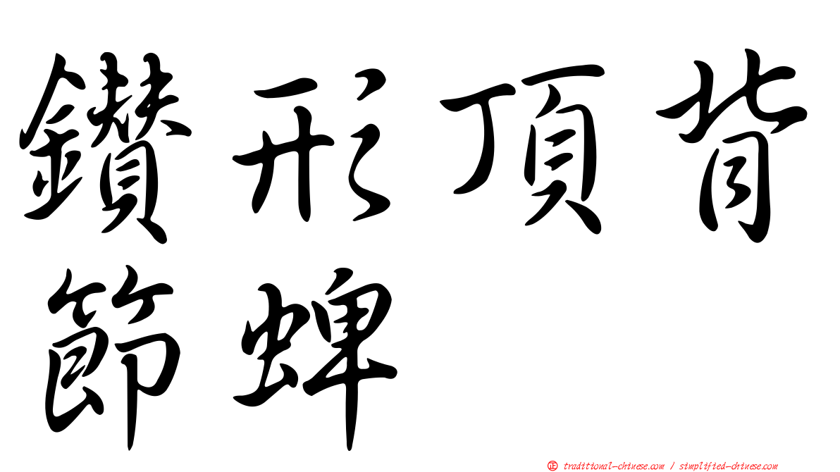 鑽形頂背節蜱