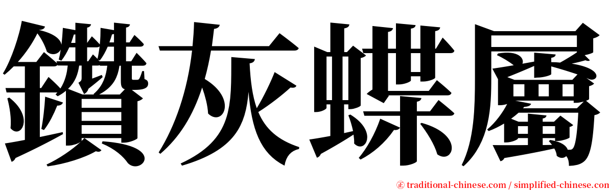 鑽灰蝶屬 serif font