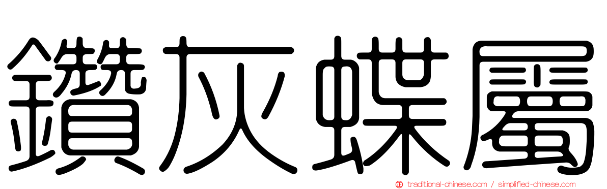 鑽灰蝶屬