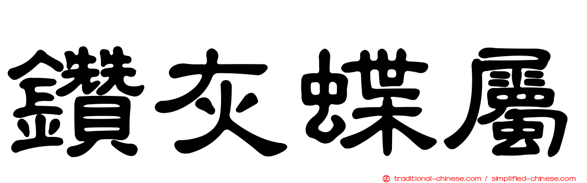 鑽灰蝶屬