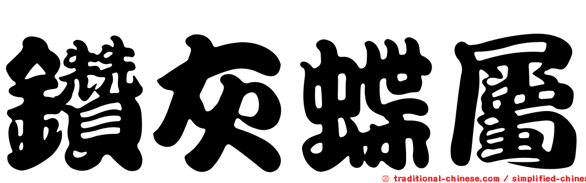 鑽灰蝶屬