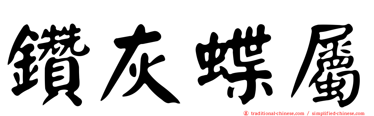 鑽灰蝶屬