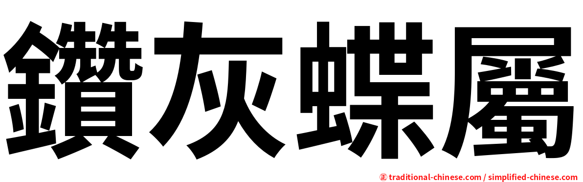 鑽灰蝶屬