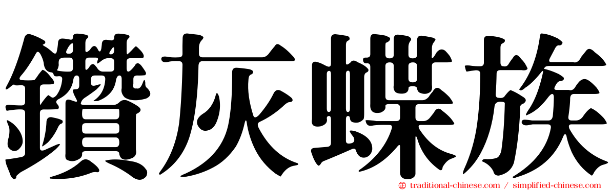 鑽灰蝶族
