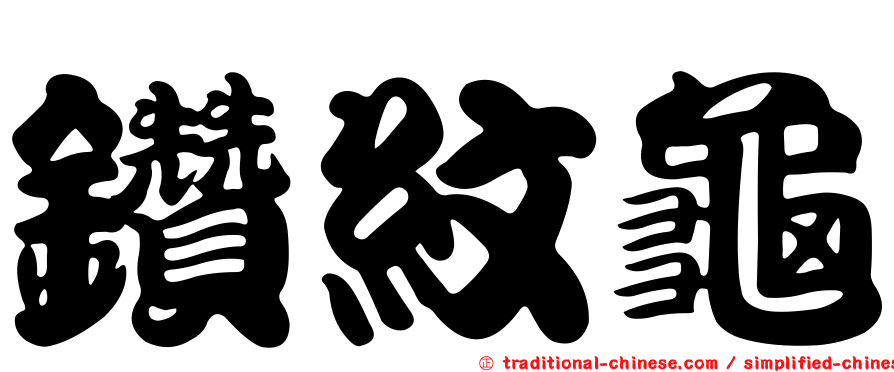 鑽紋龜