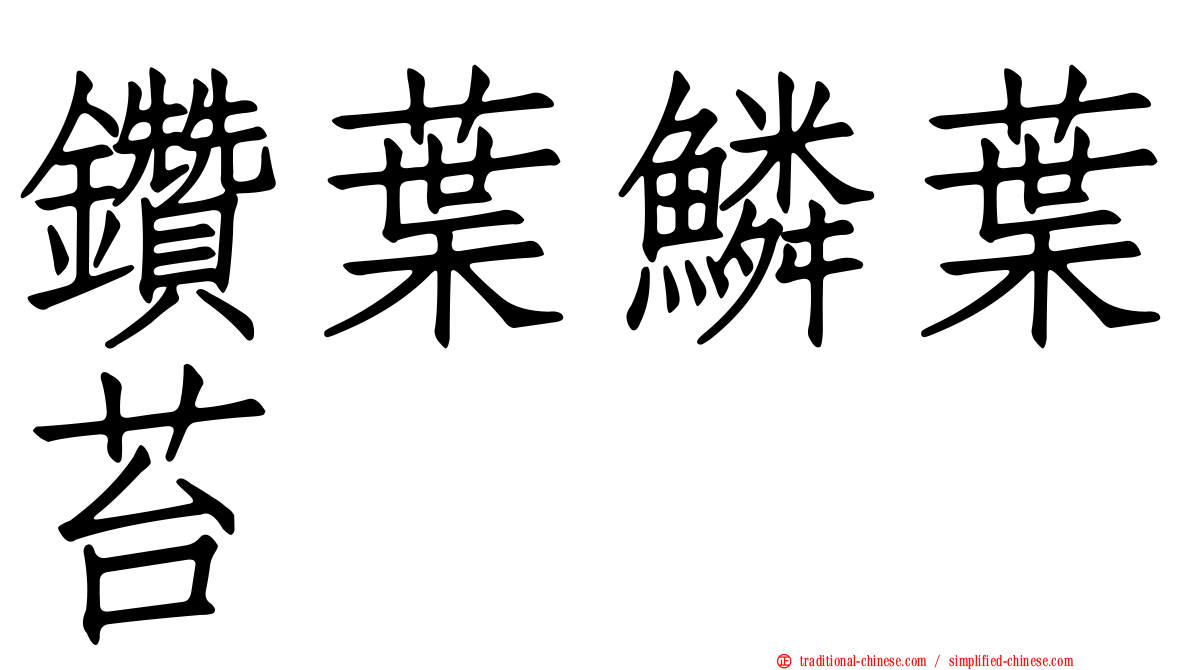 鑽葉鱗葉苔
