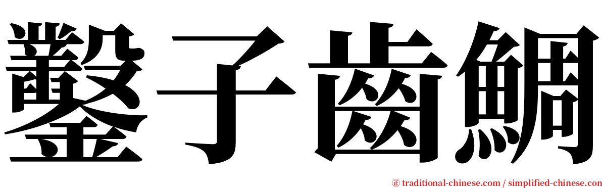 鑿子齒鯛 serif font