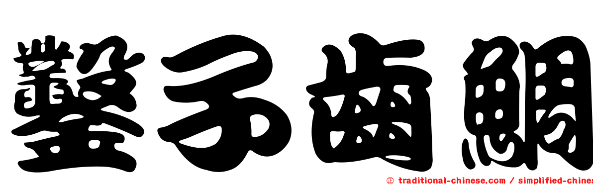 鑿子齒鯛
