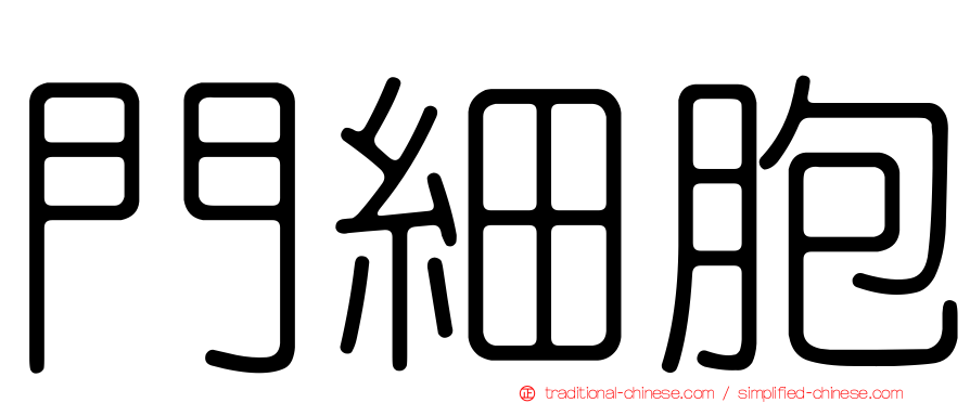 門細胞