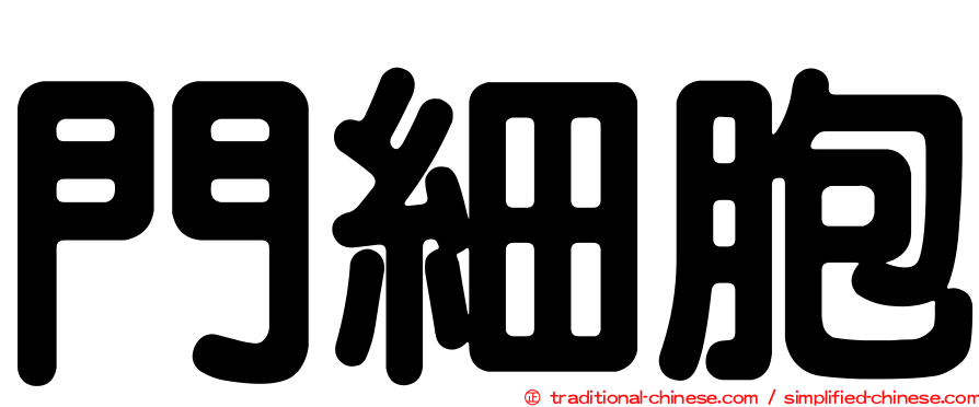 門細胞