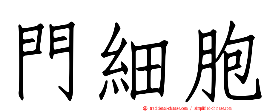 門細胞