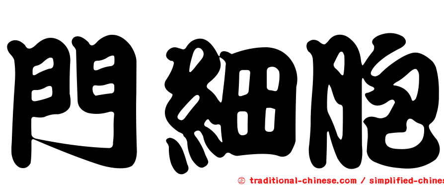 門細胞