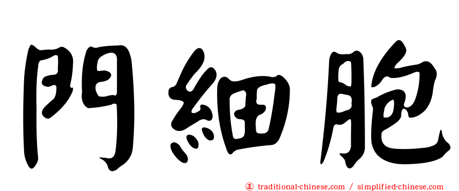 門細胞