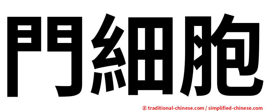 門細胞