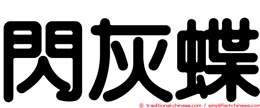 閃灰蝶