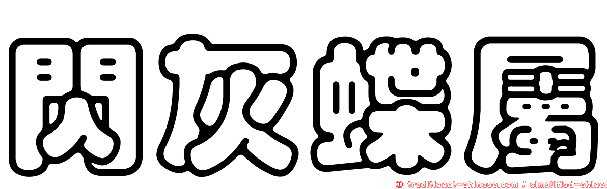 閃灰蝶屬