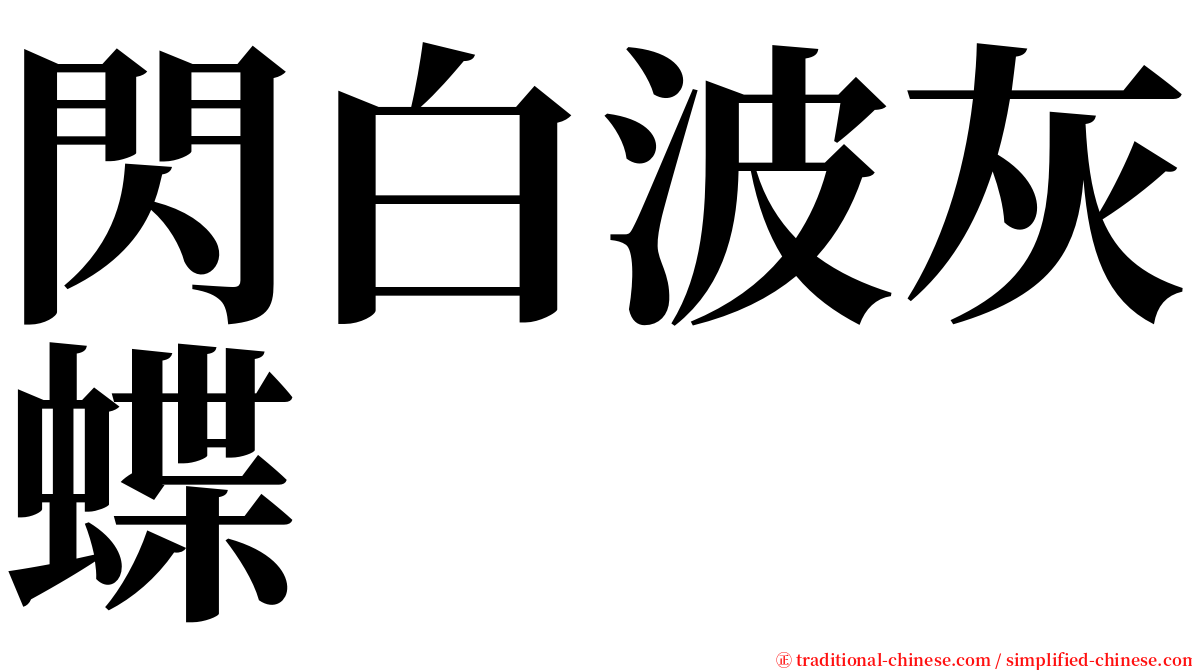 閃白波灰蝶 serif font