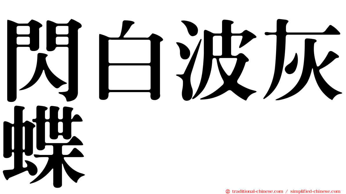 閃白波灰蝶