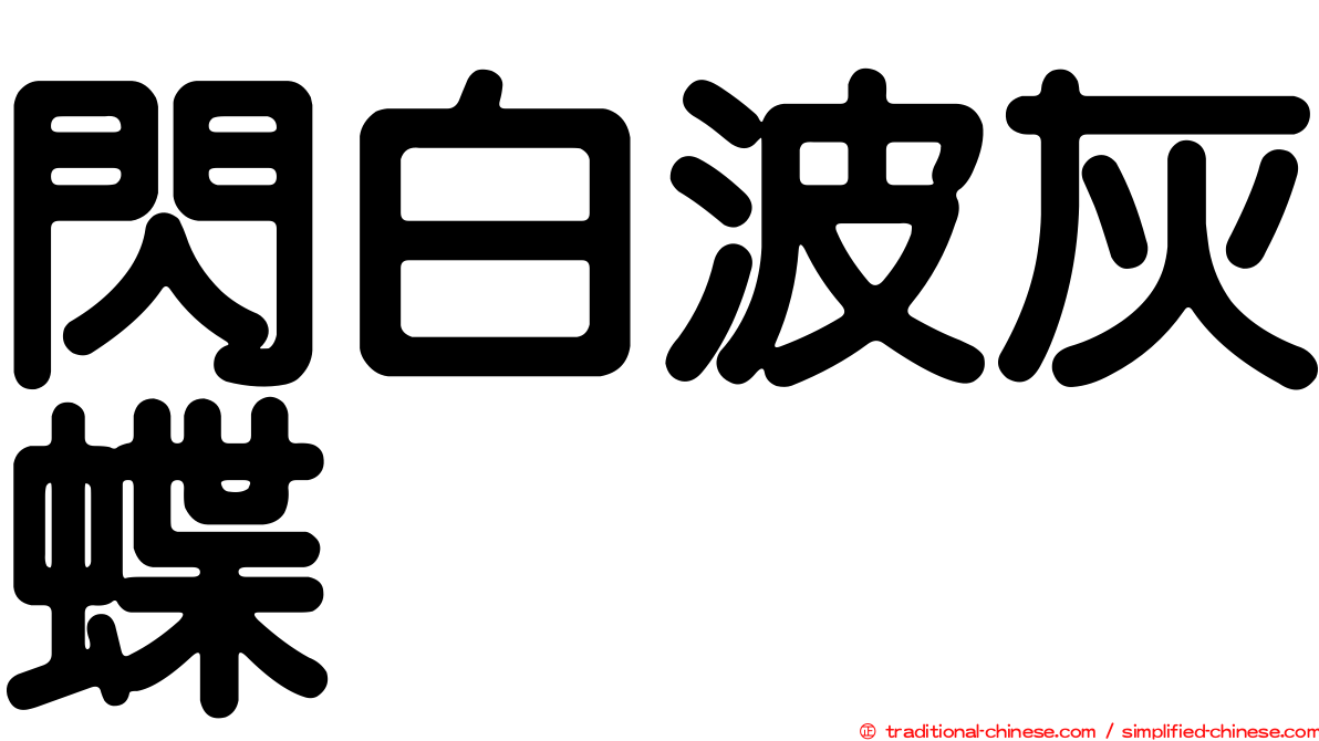 閃白波灰蝶