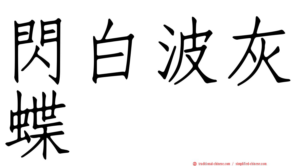 閃白波灰蝶