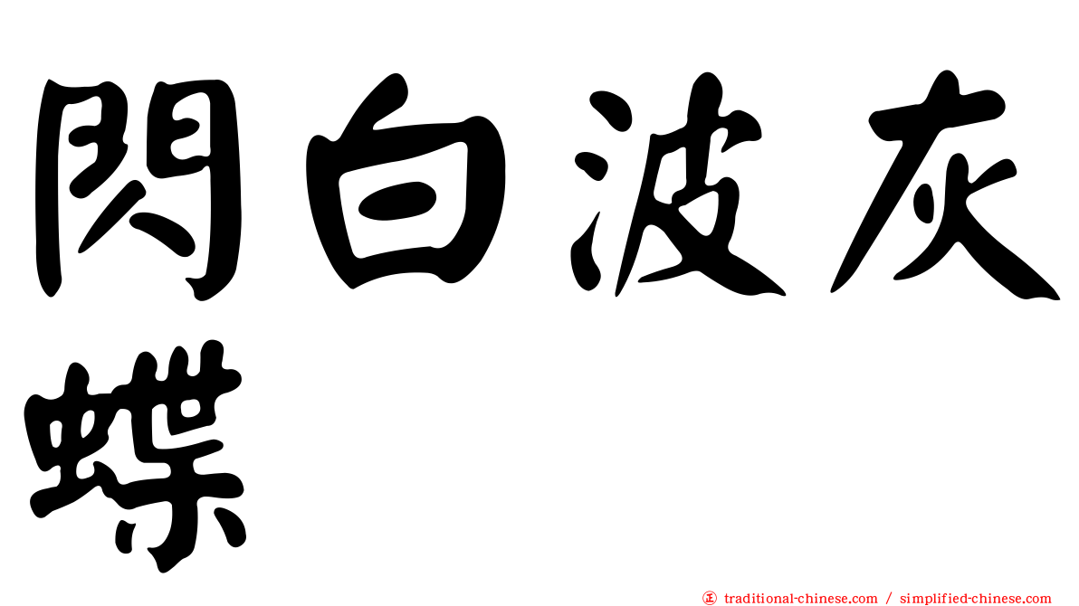 閃白波灰蝶
