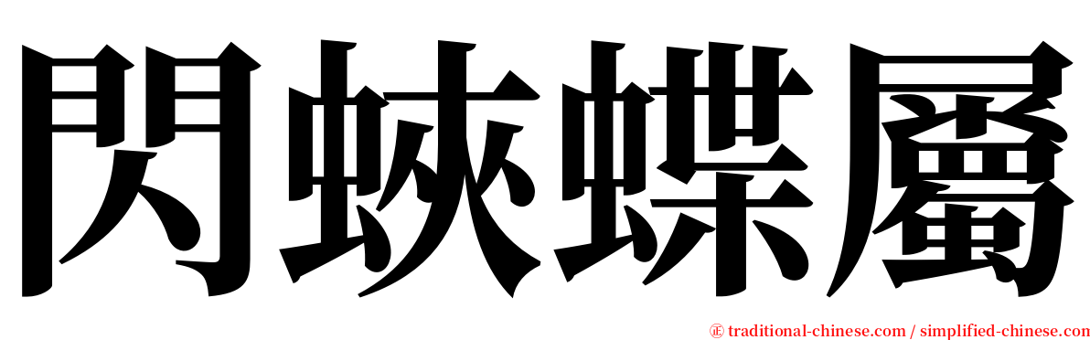 閃蛺蝶屬 serif font